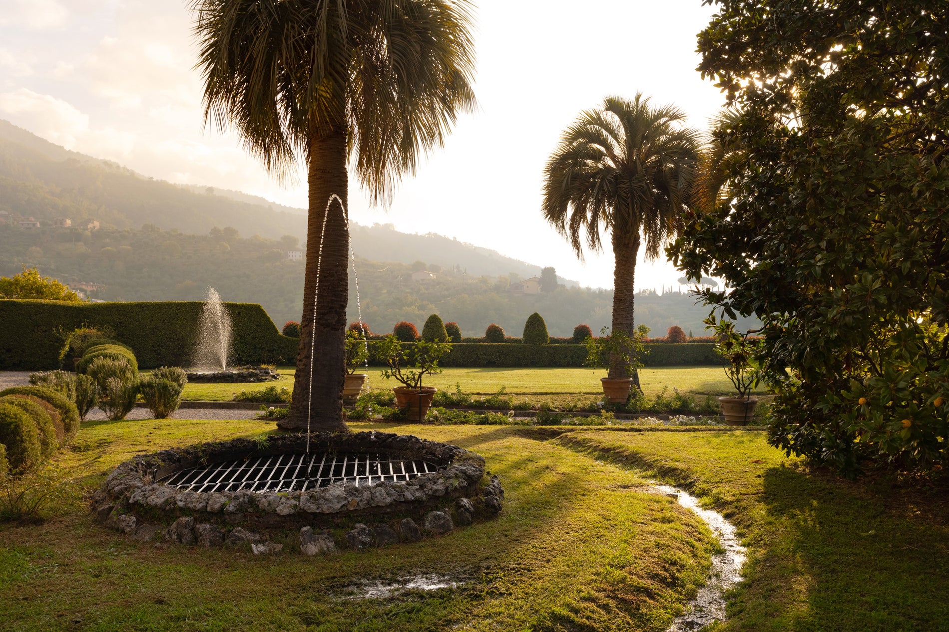 Unearthing the beauty of Lucchesia with Laura di Collobiano of Tenuta di Valgiano